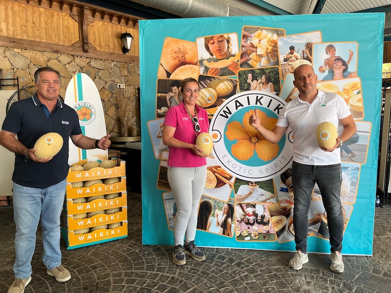 Semillas Fitó Waikiki