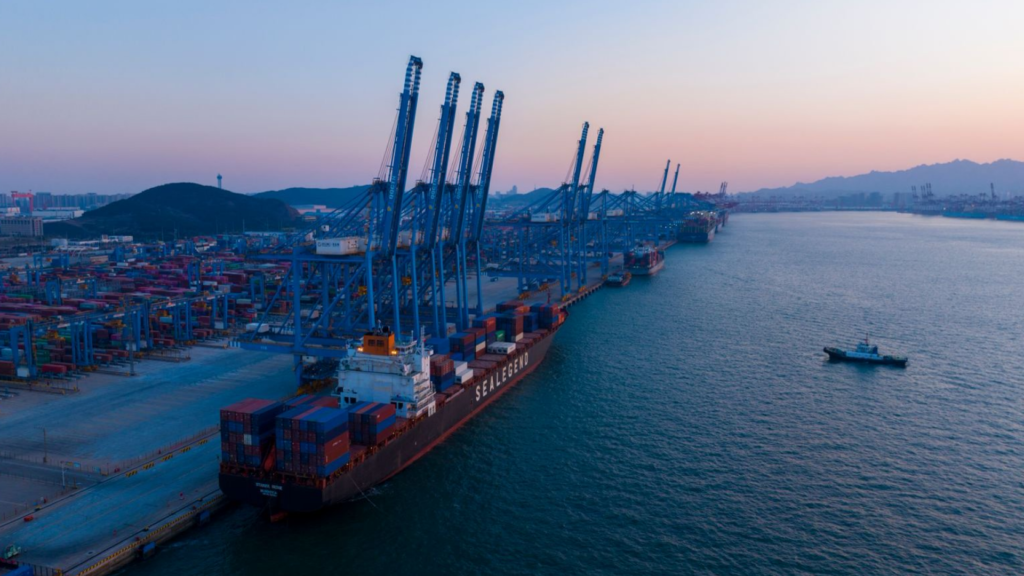 Sea Legend contenedores