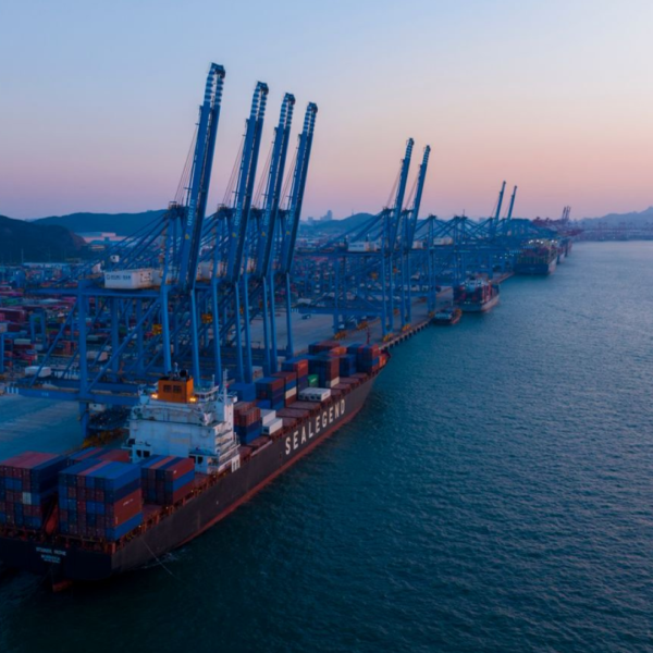 Sea Legend contenedores
