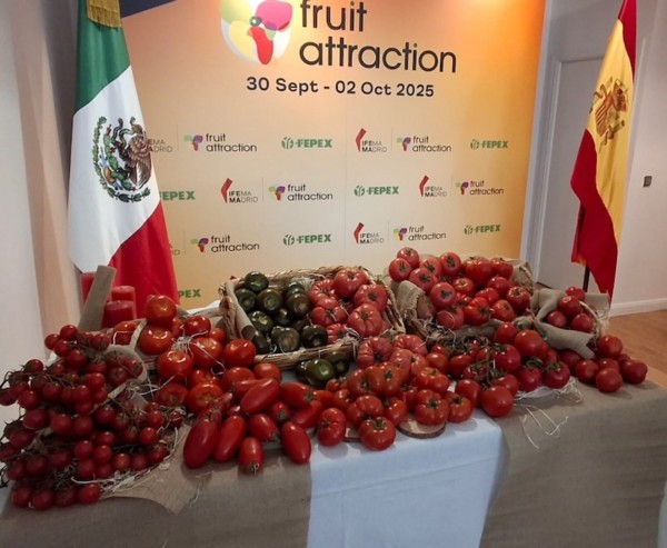 tomate Fruit Attraction