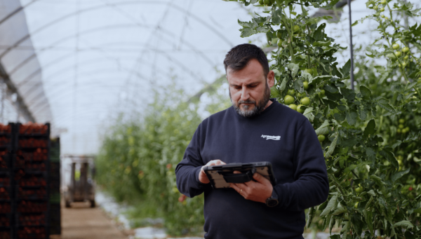 Agroponiente facturación