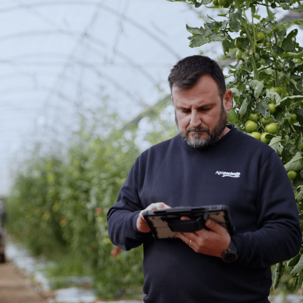 Agroponiente facturación