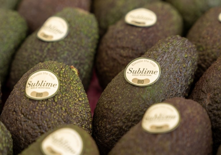 Frutas Montosa aguacate