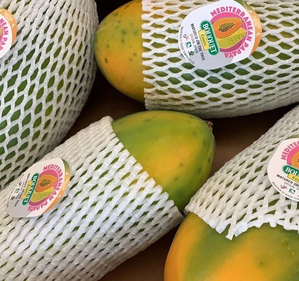 Anecoop papaya