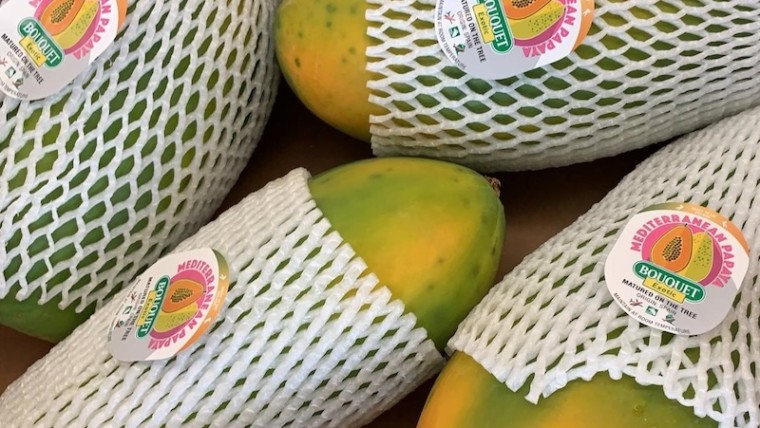 Anecoop papaya