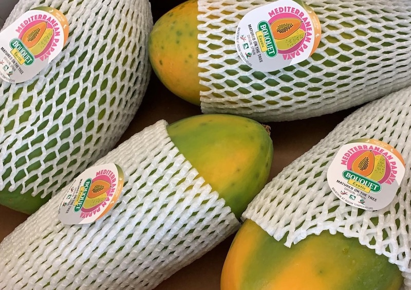 Anecoop papaya