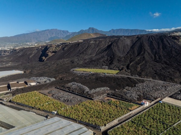 Europlátano Fruit Attraction