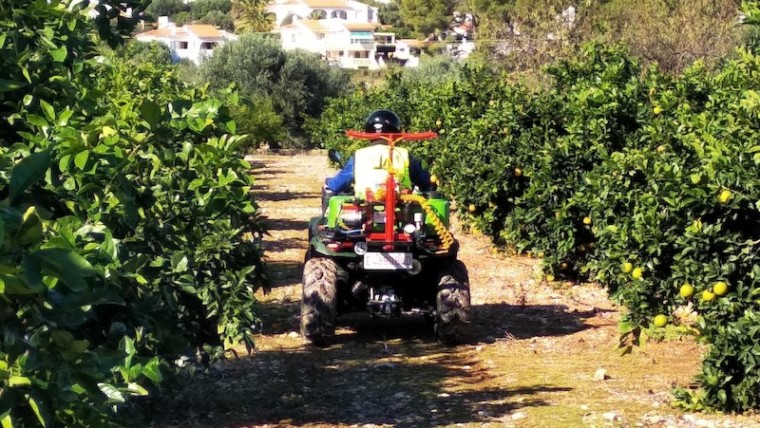 alerta fitosanitaria