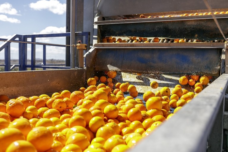 cítricos Andalucía