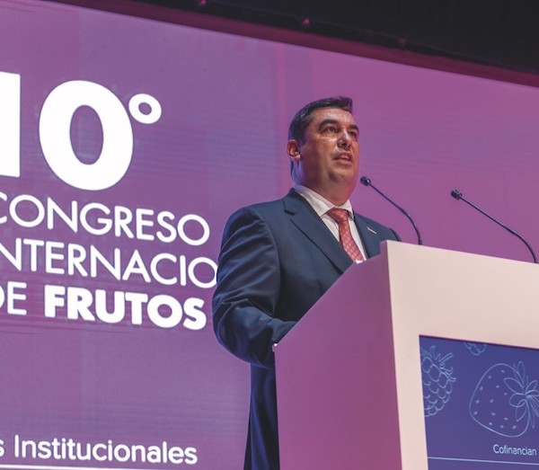 presidente Freshuelva
