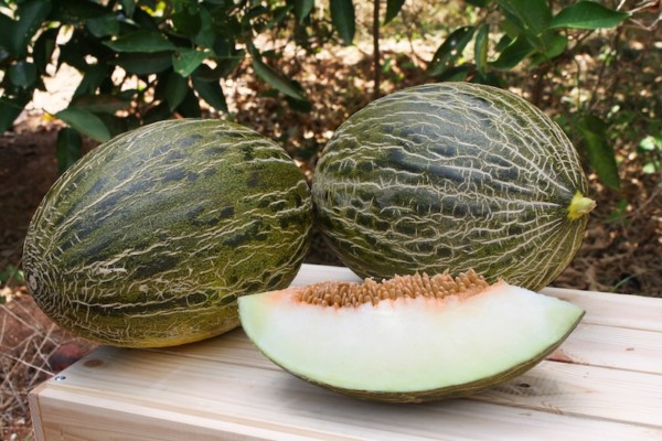 Intersemillas Fruit Attraction