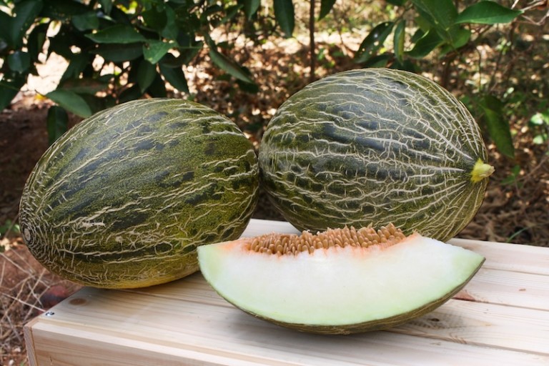 Intersemillas Fruit Attraction