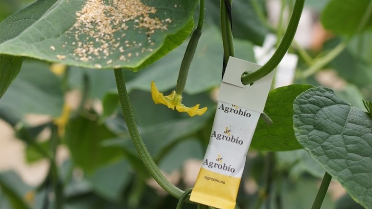 Agrobío trips