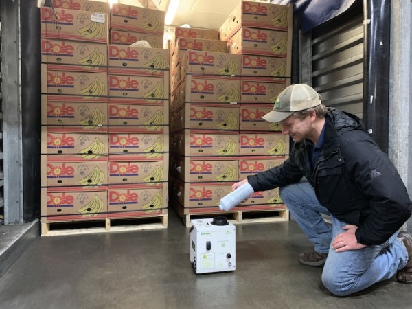 Catalytic Generators Fruit Attraction