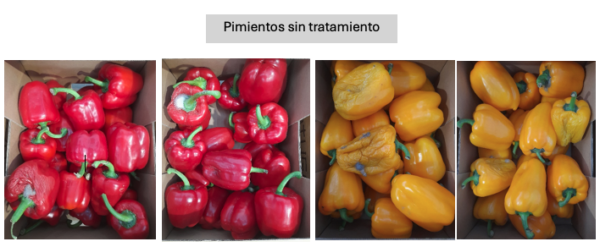 Sanifruit postcosecha