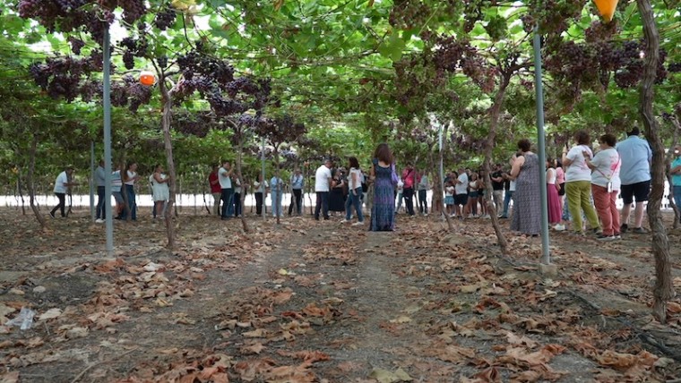 Uvasdoce Fruit Attraction