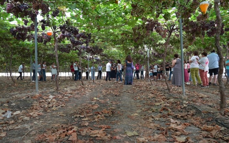 Uvasdoce Fruit Attraction