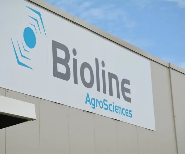 Bioline pulgón