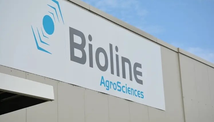 Bioline pulgón