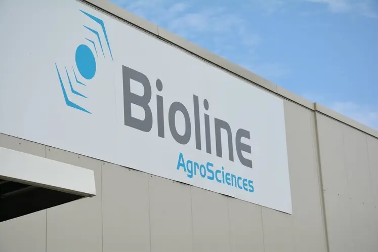 Bioline pulgón