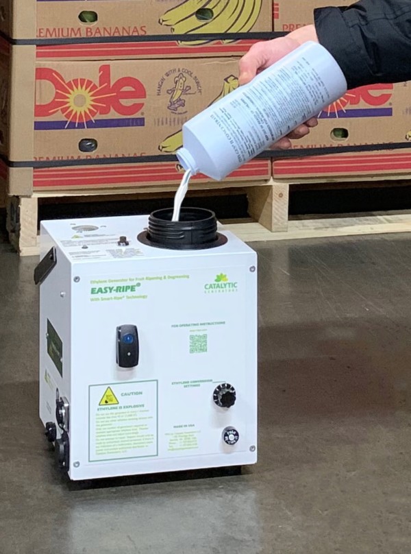 maduración plátanos