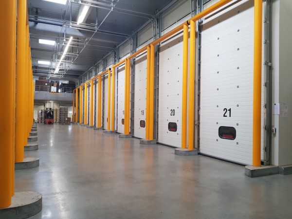 maduración plátanos