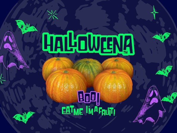 Halloweena™ mandarina