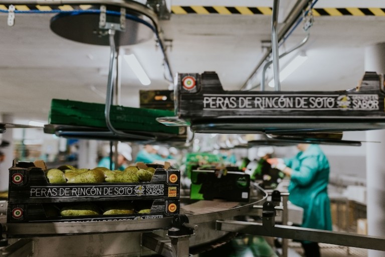 Peras Rincón De Soto