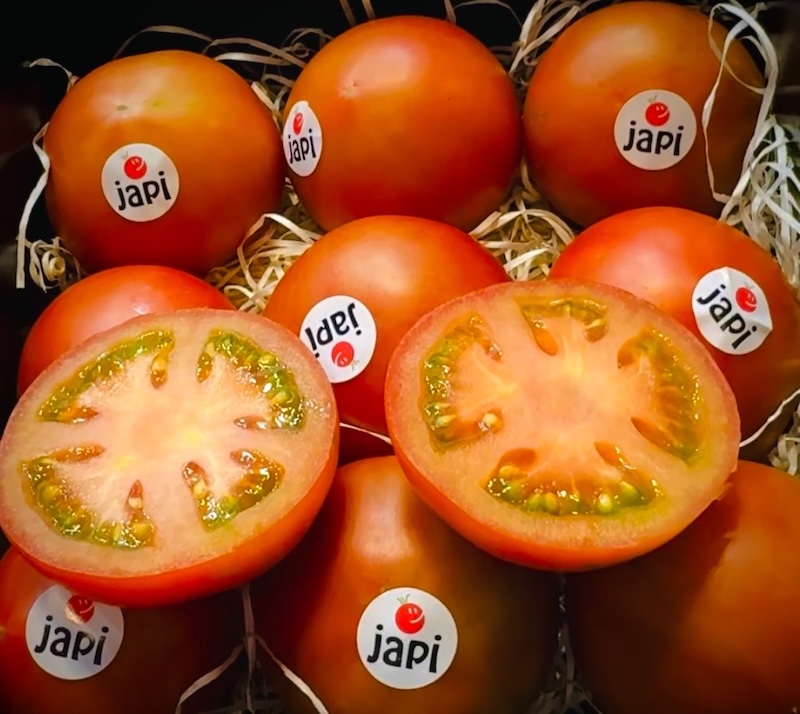 Sakata tomate Japi