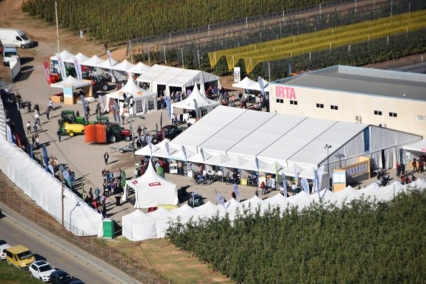 Servalesa regeneración suelos