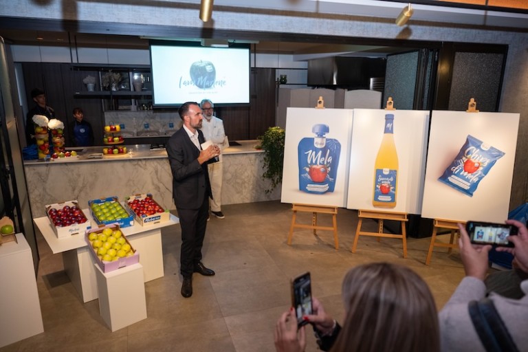 Marlene transformados