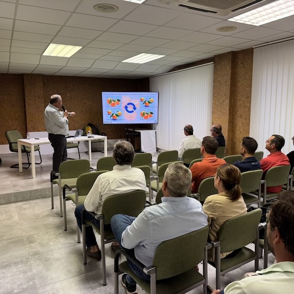 Mina mandarina protegida