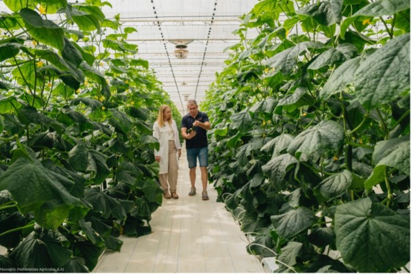 Novagric invernaderos