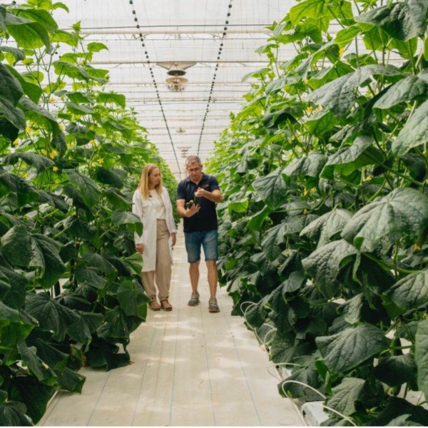 Novagric invernaderos