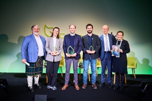 polinización sírfidos