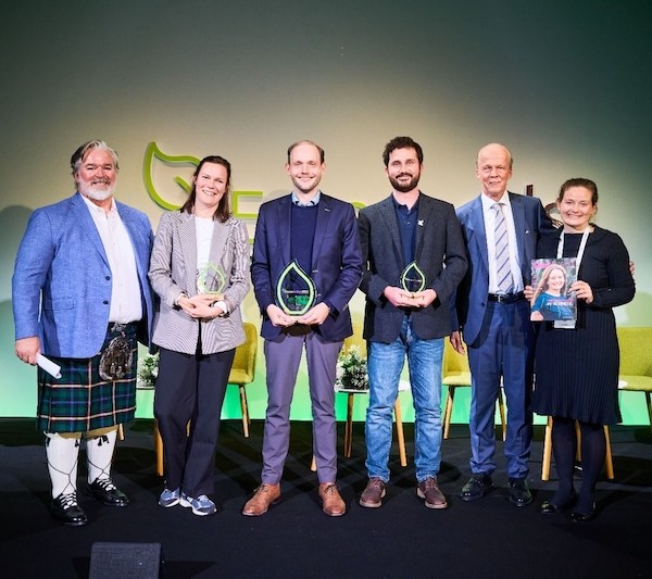 polinización sírfidos