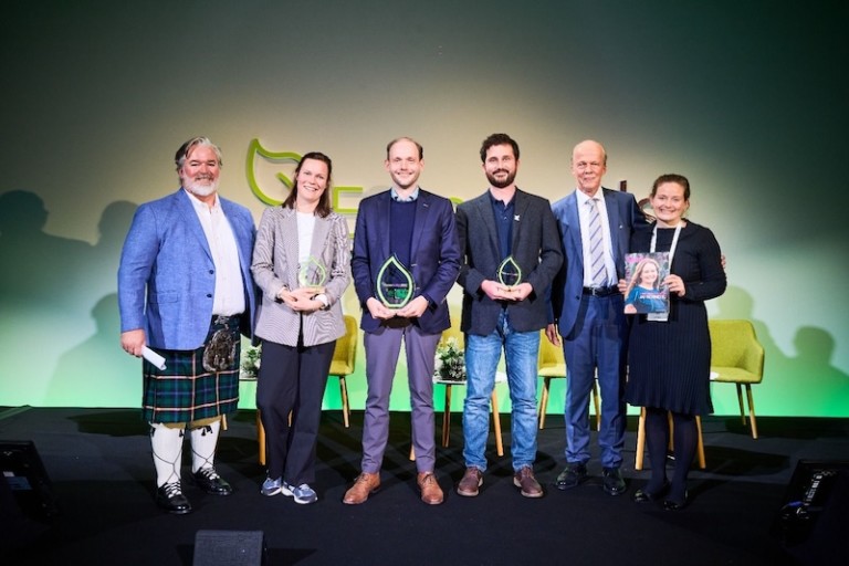 polinización sírfidos