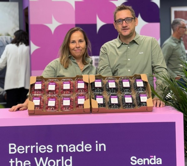 Senda berries