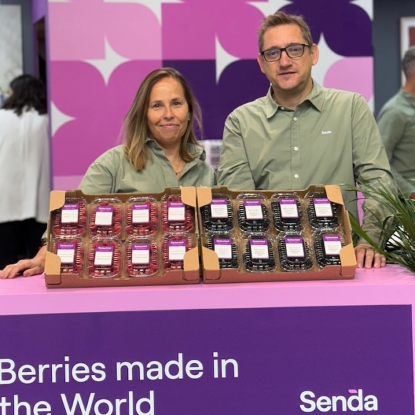 Senda berries