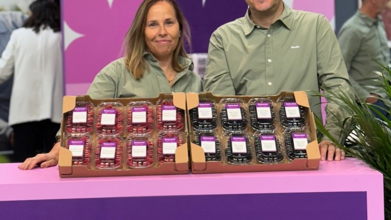 Senda berries