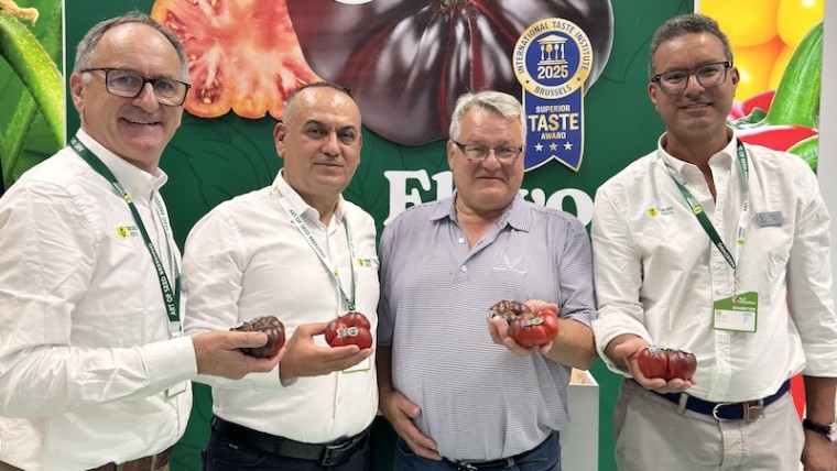 Sweetloom Yuksel Seeds