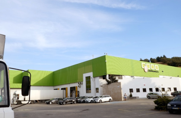 Pingo Doce producción fruta