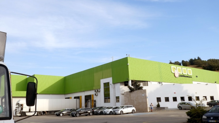 Pingo Doce producción fruta