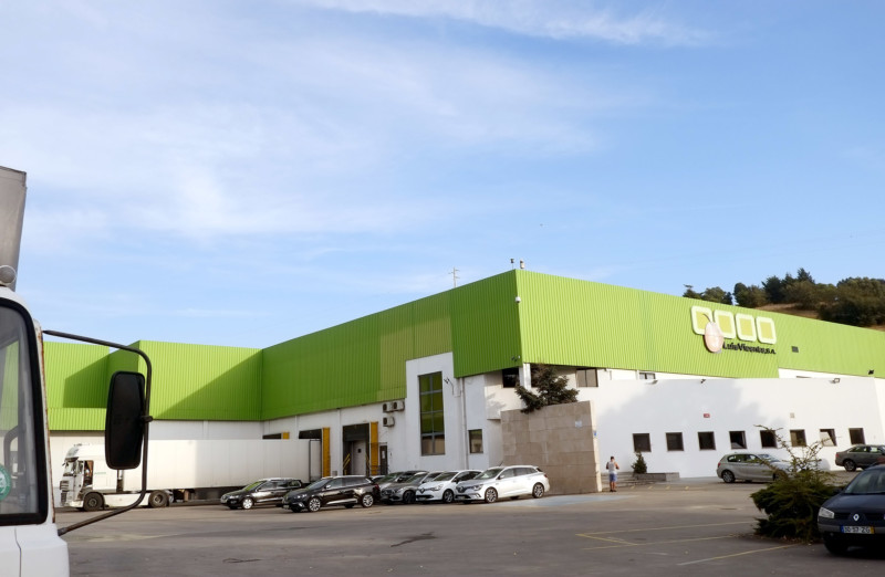 Pingo Doce producción fruta