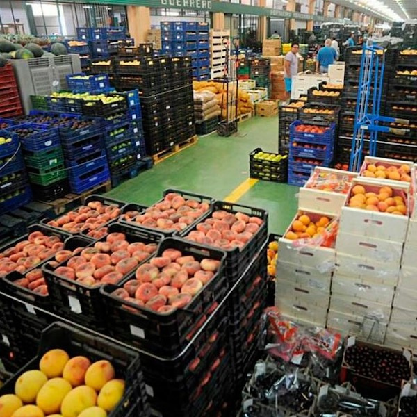 Sorry! Image not available at this time