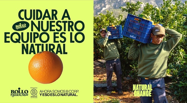 Bollo B Corp