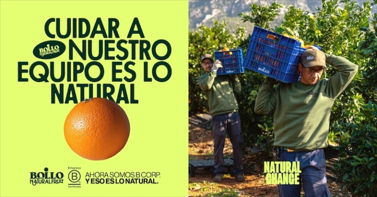 Bollo B Corp