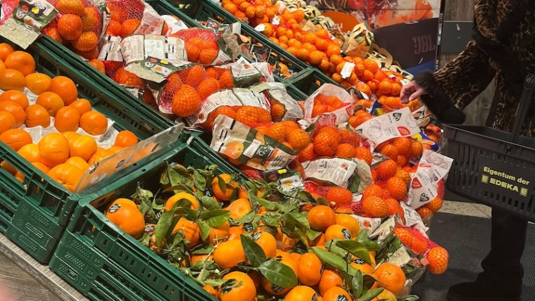 mandarinas Sudáfrica