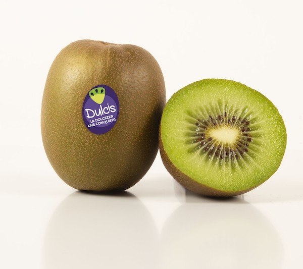 kiwi verde Dulcis