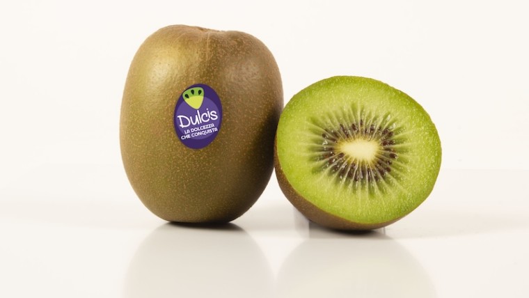 kiwi verde Dulcis